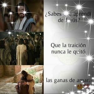 Meet your Posher, Carol